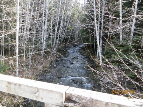 IMG_2469.jpg IMG 2469