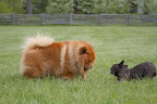 G.K. - How about a little tussle?