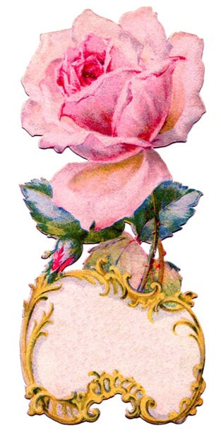 pink rose antique  Image GraphicsFairy006c