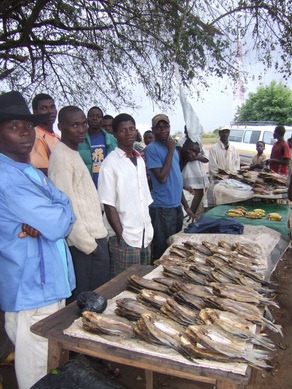 [DSCF75303%255B6%255D.jpg]