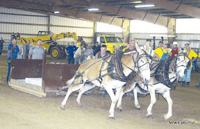 Mules pulling sled 4x.jpg