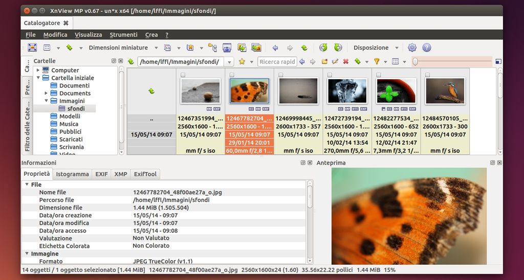 XnViewMP 0.6.7 in Ubuntu Linux