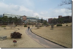 SAM_0029 SAM_0029
