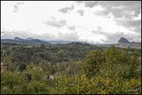 Panorama Panorama