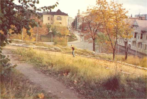Sports park in Turku