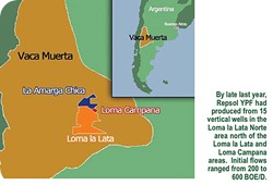 vaca-muerta vaca-muerta