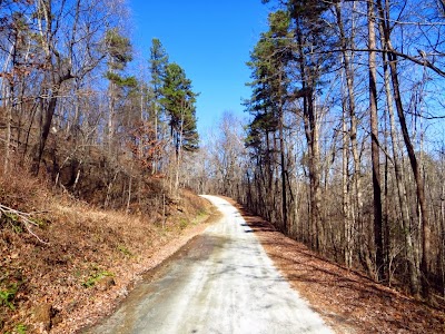 The road keeps coming... IMAGE_575.jpg