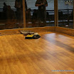IMG_0502 AS_.jpg