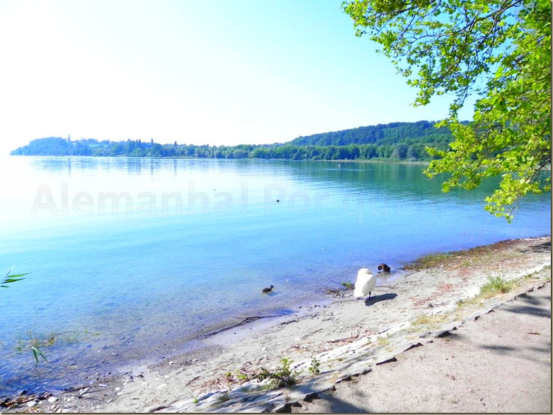 Bodensee14 Bodensee14