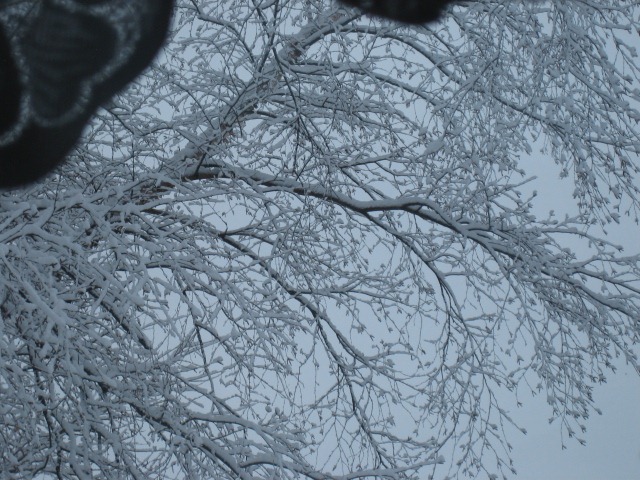 [snow%2520004%255B3%255D.jpg]