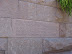Washington Bus Tour 2011
