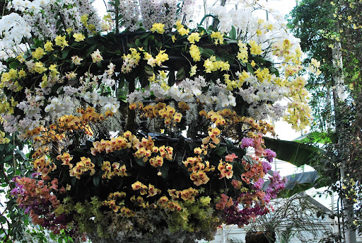 The third space had this amazing orchid chandelier. Martha raved about it when she was here.