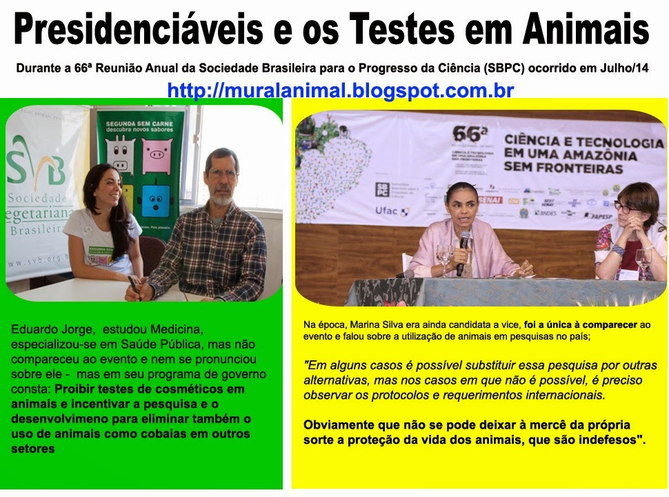 [presidenciaveis%255B3%255D.jpg]