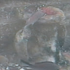 DSCN7344.JPG