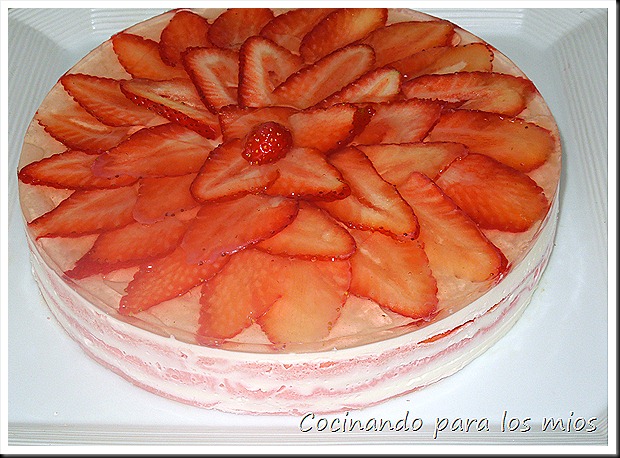 DSCN1767 DSCN1767