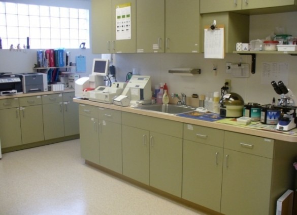 [laboratorio%255B2%255D.jpg]