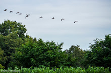 20130921 - WVV D4 - ASVB-WEDDE D1 - 023.jpg