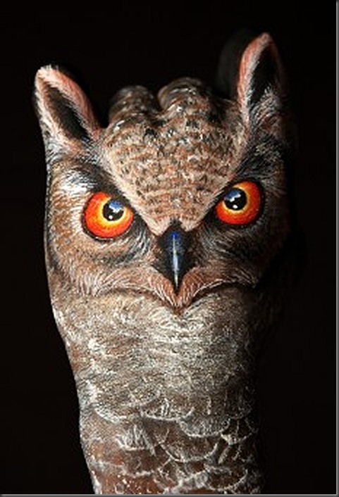 Owl1-231x340