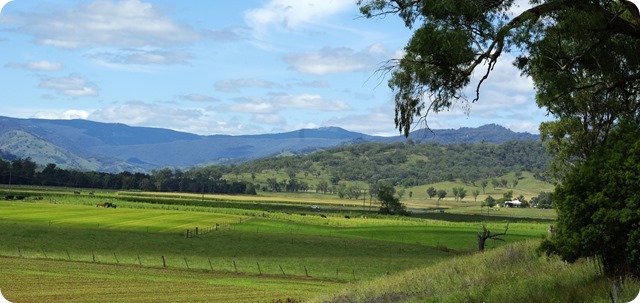 Peel River Valley near Woolomin