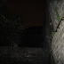 DSC03711.JPG