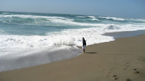 IMG_5133.JPG