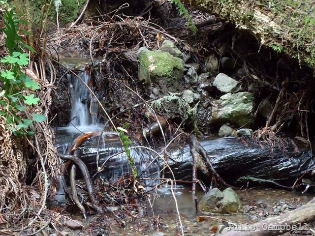 [DSC08717_edited-1%255B9%255D.jpg]