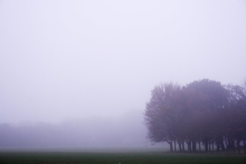 Misty afternoon in St. Anne\'s Park-Polina Volkova.jpg