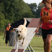 IMG_9857.JPG