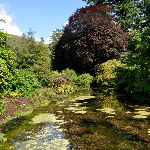 dsc_0483.jpg