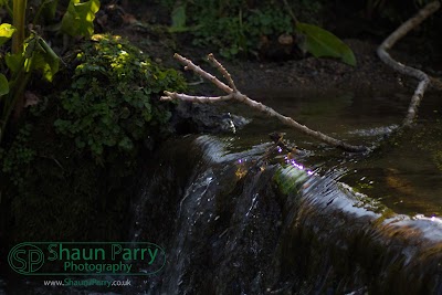 Trengwainton Gardens-11.jpg