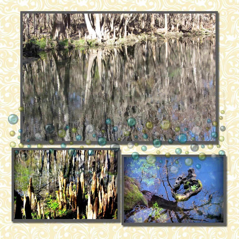 [Manatee-Springs-SP-FL-0063.jpg]