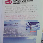 IMG_20120114_131749.jpg