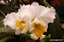 Natura :: Img0503.jpg