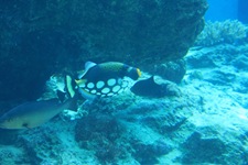 IMG_6571 IMG_6571