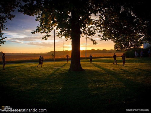 wallpapers national geographic desbaratinando (27)