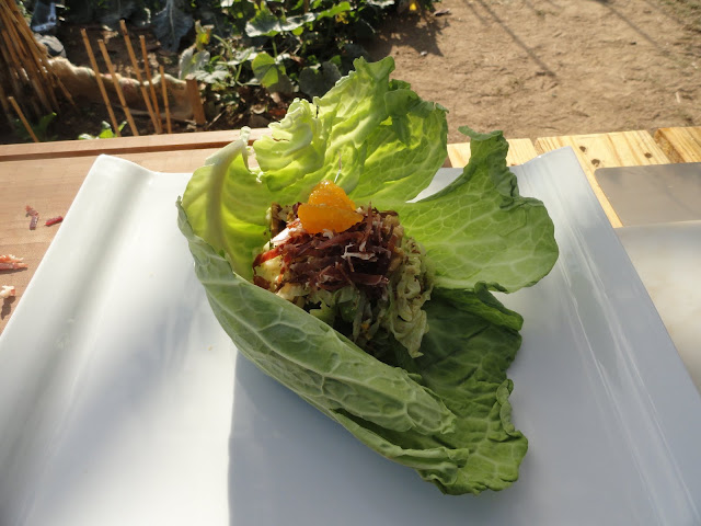 DSC04792.JPG