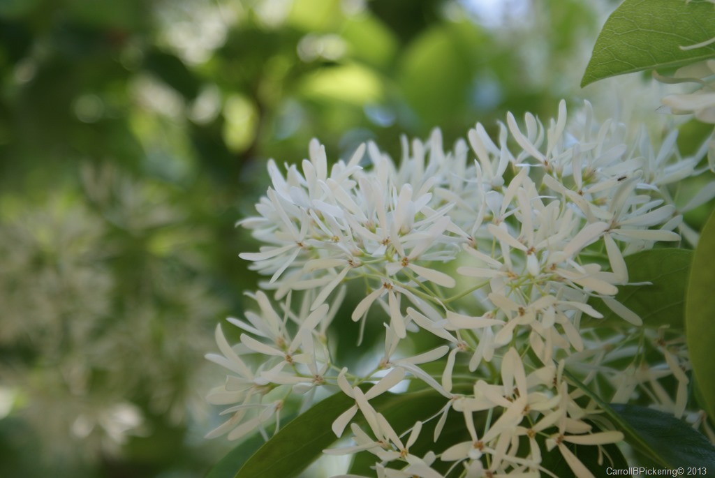 [DSC03414%255B9%255D.jpg]