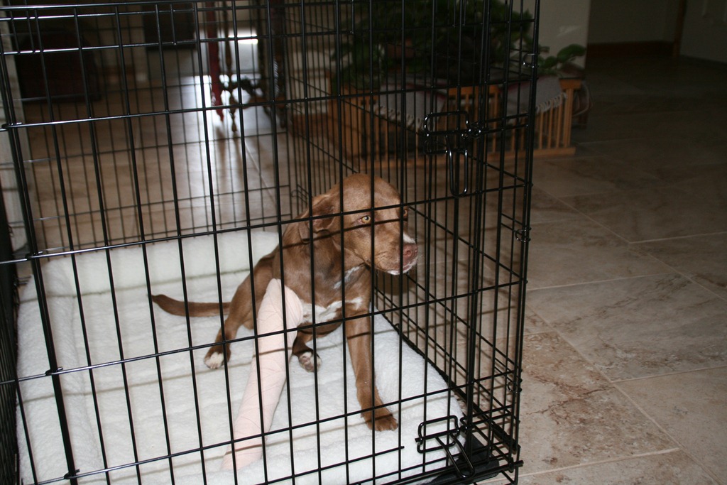 [IMG_0473%255B4%255D.jpg]