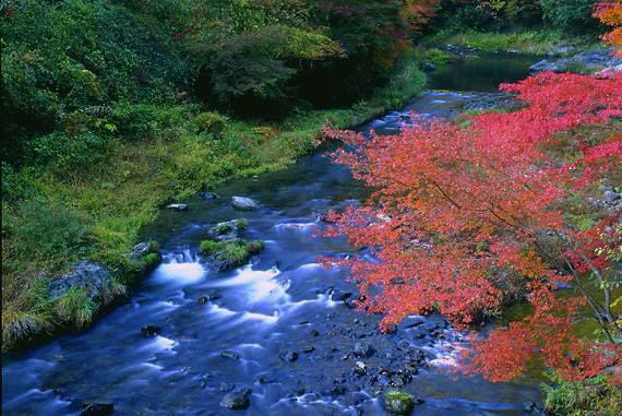 Image Dimension: 570x381 :: Photos: Trust me its Real Photos: Trust me its Real
