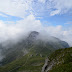 Whisps Pgphoto