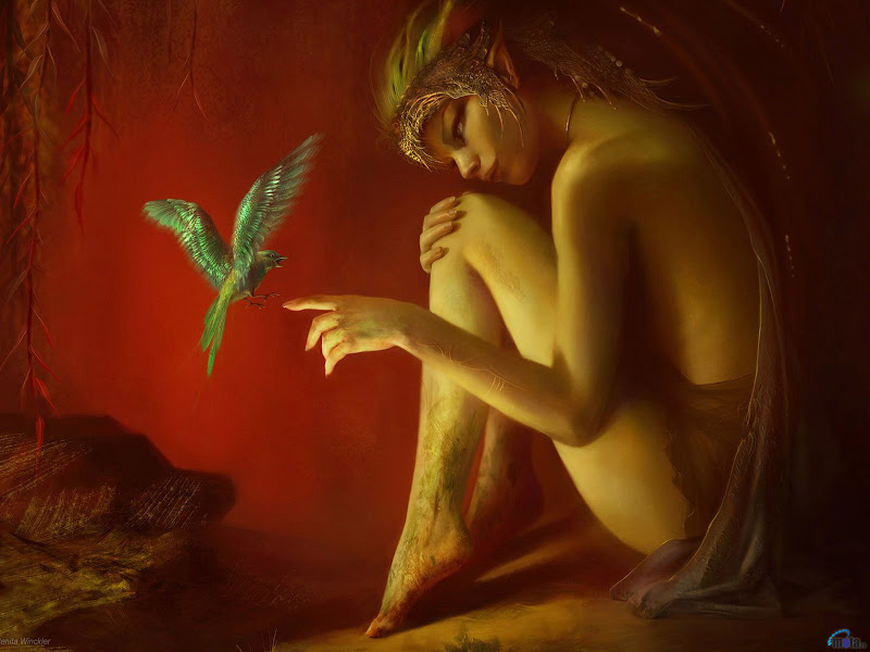 Magic Of Young Angel, Magic Beauties 5
