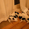 DSCN0168.JPG