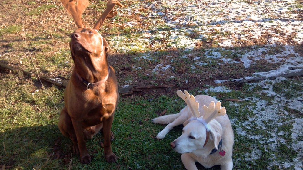 [2012-12-25_10-03-37_89%255B3%255D.jpg]