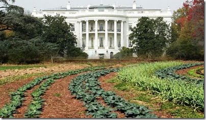 White-House-Vegetable-Garden