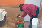 ARRUGUITAS estrenando casita ¡¡¡!!