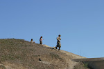 IMG_7533.jpg