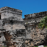 DSC_8785.JPG