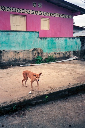 XA_Superia400_Perlas0118