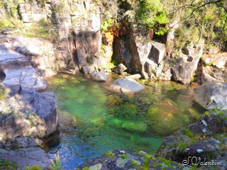 [P1190472%255B3%255D.jpg]