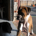 DSCN2525.jpg